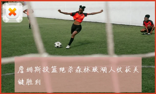 詹姆斯投篮绝杀森林狼湖人收获关键胜利
