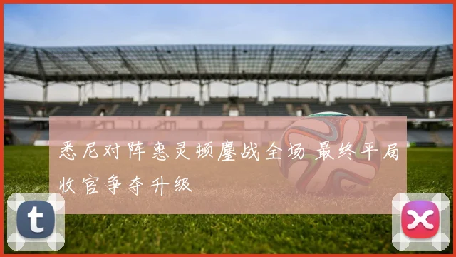 悉尼对阵惠灵顿鏖战全场 最终平局收官争夺升级