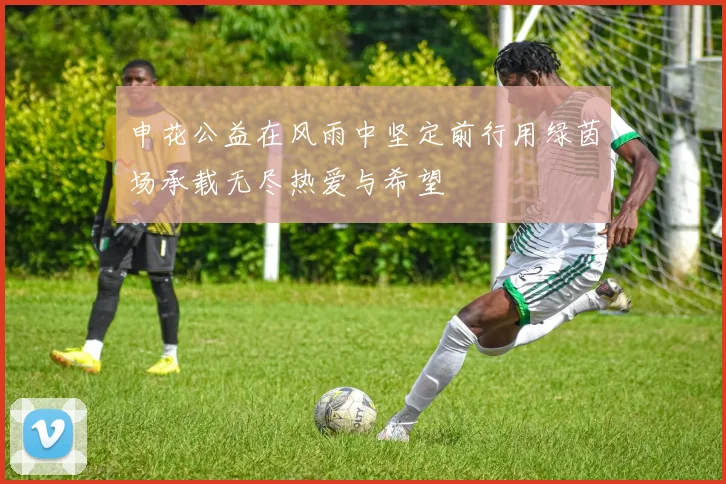 申花公益在风雨中坚定前行用绿茵场承载无尽热爱与希望